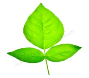 DO 2BTHIS 2BBEHIND 2BYOUR 2BWATCH 2BFOR 2BMORE 2BLUCK 2B 2BMONEY X